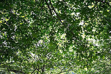 《Looney Tunes》Steam页面上线 9月28日发售