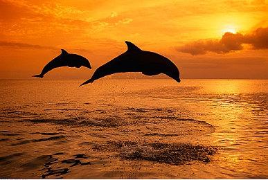 任天堂Switch在西班牙国内销量突破200万台