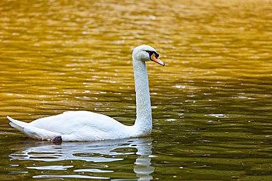 《命运2》<玻璃宝库>大师模式邀请赛，7月10日来袭<＆玻璃宝库>